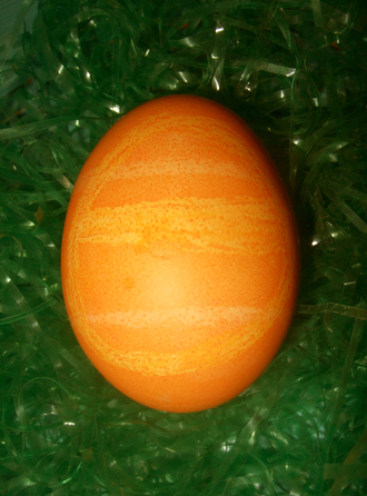 orangeegg.jpg